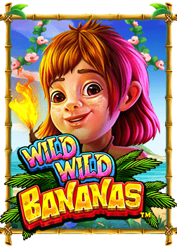 สูตร บา คา ร่า เข้า ได้ ทุก เว็บ แนวทางการเล่นที่ง่าย